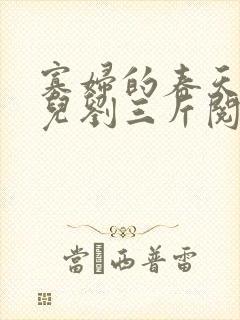 寡妇的春天白花儿刘三斤阅读