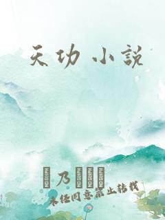 天功 小说