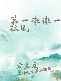 第一微微一笑很拉风