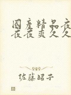 国产精品夜夜春夜夜爽久久小说