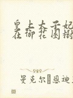 皇上太子妃沈音在御花园树上