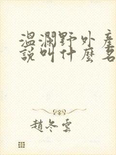 温澜野外产子小说叫什么名字