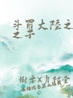 斗罗大陆之七怪之子