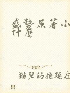 盛势原著小说叫什么