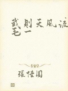 武则天风流艳情毛一