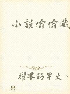 小说偷偷藏不住