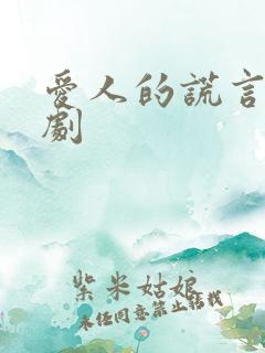 爱人的谎言电视剧