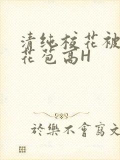 清纯校花被迫开花苞高H