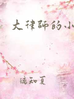 大律师的小老婆