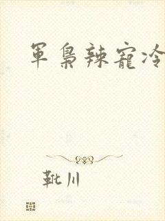 军枭辣宠冷妻