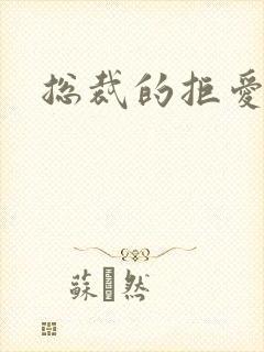 总裁的拒爱前妻