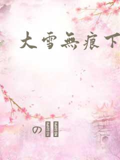 大雪无痕下载