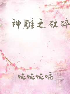 神雕之破碎之旅