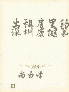 出租房里的交互深圳康健第二部