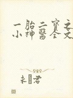 一胎二宝之弃妃小神医全文免费阅读