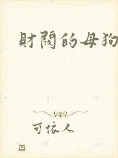 财阀的母狗们