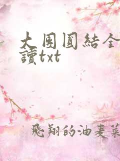 大团圆结全文阅读txt