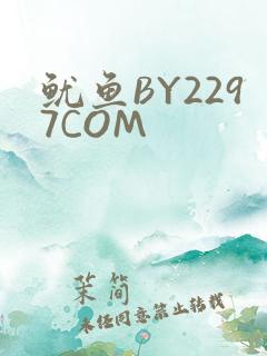 鱿鱼BY2297COM