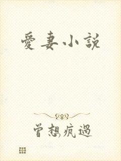 爱妻小说