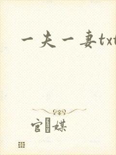 一夫一妻txt