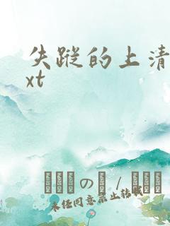 失踪的上清寺txt