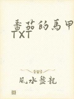 番茄的马甲小说TXT