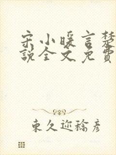 宋小暖言楚行小说全文免费阅读