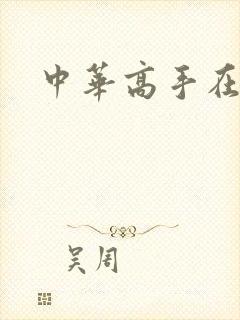 中华高手在异世