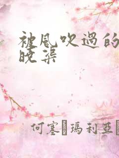 被风吹过的夏天晓渠