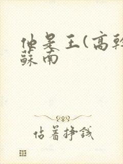 他是王(高干)苏南