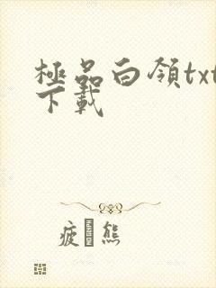 极品白领txt下载