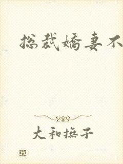 总裁娇妻不太乖