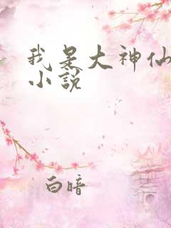 我是大神仙时江小说