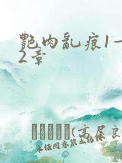 艳肉乱痕1—12章