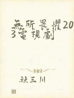 无所畏惧2023电视剧