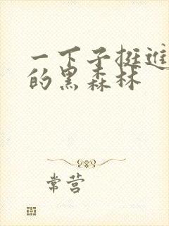 一下子挺进浓密的黑森林