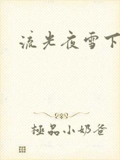 流光夜雪下载