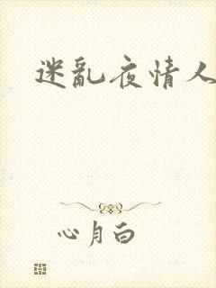 迷乱夜情人