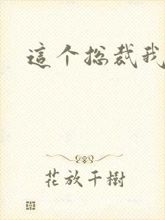 这个总裁我要了