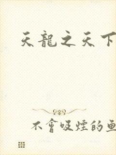 天龙之天下有我