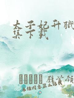 太子妃升职记全集下载