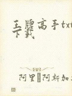 王牌高手txt下载