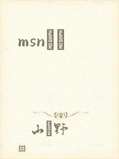 msnС˵