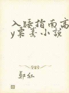 入睡指南高干by粟熹小说