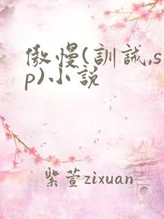 傲慢(训诫,sp)小说