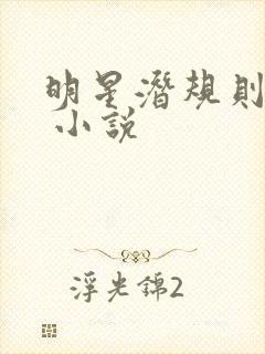 明星潜规则之皇 小说