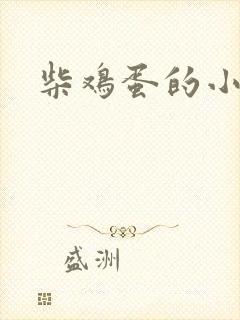 柴鸡蛋的小说
