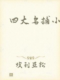四大名捕小说