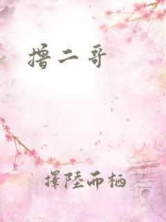 撸二哥