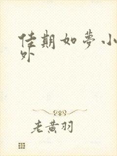 佳期如梦小说番外